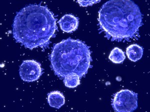 Natürliche Killerzellen und andere Lymphozyten spüren Krebszellen auf, um sie zu zerstören.