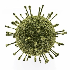 Künstlerische Darstellung eines Norovirus-Partikels