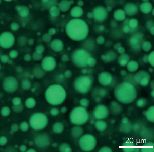 Schwitzender Kunststoff unter dem Mikroskop: Aus diesen Blasen dringt selbstständig Silikonöl an die Oberfläche.