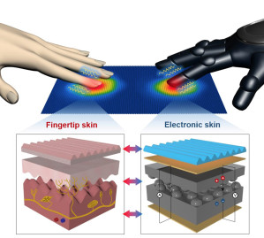 Künstliche Haut: Schematischer Aufbau der multifunktionialen Sensorfolie aus einem ferroelektrischen Komposit-Werkstoff im Vergleich zur menschlichen Fingerspitze.