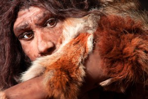 Schnittspuren in menschlichen Knochen lieferten Hinweise auf Kannibalismus bei Neandertalern.