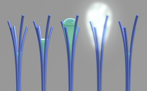Einzigartiges Verhalten: Winzige Bündel aus Nanodrähten stoßen Wasser bei zunehmender Luftfeuchtigkeit ab (künstler. Illu.)