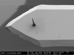 Nanospitze für Rasterkraftmikroskope aus dem 3D-Drucker