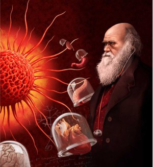 Der unterschiedliche Krebsschutz der Organe könnte auf natürliche Selektion und biologische Fitness im Sinne von Darwins Evolutionstheorie zurückzuführen sein.