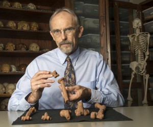 Anthropologe John Kappelman mit Modellen von Lucys Knochen aus dem 3-D-Drucker.