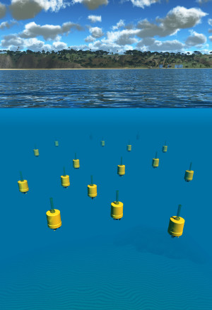 Plankton-Roboter: Schwärme autonomer Tauchbojen sollen neue Einblicke in die Welt des Planktons liefern.
