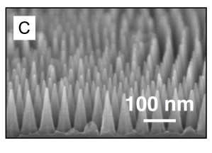 Vorbild Zikadenflügel: Winzige Nanokegel verbessern auf einer bionischen Oberfläche die hydrophoben Eigenschaften.