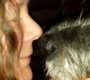 Womöglich ist die menschliche Nase der des Hundes gar nicht so sehr unterlegen wie vermutet.