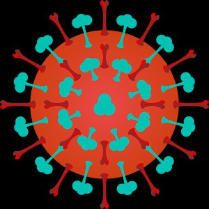 Das Influenzavirus (Schemazeichnung) ist zur Vermehrung auf den Stoffwechsel der Wirtszelle angewiesen.