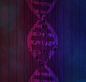 Nicht allein die DNA, auch die Lebensweise entscheidet über die Entwicklung einer Demenz.