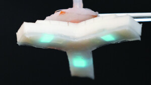 Prototyp eines leuchtenden Gummis, das schon ab 23 Volt Spannung bläulich-weißes Licht emittiert.