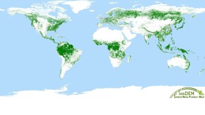 Wälder sind effiziente CO2-Speicher. Hier eine aktuelle Weltkarte der Waldflächen, aufgenommen mit dem deutschen Radarsatellitenmission TanDEM-X.