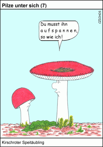 Pilz Gewebe als Meterware Cartoon Herbstwald Lebensmittel 