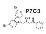 Aus einem Massenscreening von 1000 chemischen Verbindungen ging die Substanz P7C3 als wirksamste hervor.