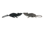 Bei Mäusen beeinflusst das Hormon Ghrelin aggressives Verhalten.