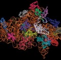 Proteine falten sich zu komplexen dreidimensionalen Strukturen
