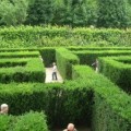 Für Manchen ist sogar die alltägliche Orientierung im Raum eine Herausforderung wie ein Labyrinth - hier jenes von Schönbrunn