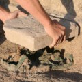 Fund des Bronzeschatzes unter einem Ziegelstein des Hofpflasters