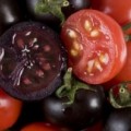 Violette Tomaten mit hohem Anthocyangehalt neben normalen roten Tomaten 