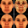 Der Grün- und Rot-Anteil in einem Gesicht gibt offenbar einen deutlich, aber für den Betrachter unbewussten Hinweis auf das Geschlecht der porträtierten Person