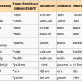 Arabisch und Hebräisch sind sehr nahe verwandte Sprachen, wie die Beispiele in dieser Tabelle zeigen