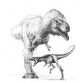 Deutlich kleiner und zierlicher, aber vom Körperbau her schon ganz T. Rex: Raptorex kriegsteini