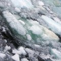 Methangasblasen steigen aus dem Nordpolarmeer auf
