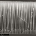 Nanodrähte aus Silizium für bessere Akkus