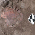 Einer der Schildkrötenpanzer, welche im Grab einer einzelnen Frau gefunden wurden, von der die Forscher annehmen, dass es sich um eine Schamanin gehandelt hat