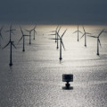 Offshore-Windpark Lillgrund im Öresund zwischen Malmö und Kopenhagen