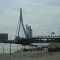 Erasmusbrücke im Hafen von Rotterdam