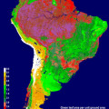 Vegetation in Südamerika aus dem All analysiert