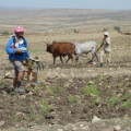 Survey im äthiopischen Hochland  mit Hilfe eines Magnetometers