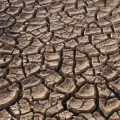 Dürre in Mexico
