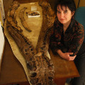 Judyth Sassoon mit dem Unterkiefer des untersuchten Pliosaurus 