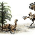 Künstlerische Darstellung der Balz eines Oviraptoren-Pärchens