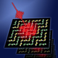 Grafik: Extrem kurze Laserpulse (rot) schalten in Manganit-Kristallen sehr schnell zwischen zwei magnetischen Zuständen