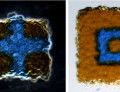 Künstliches Gewebe aus dem 3D-Drucker: Fettumhüllte und angefärbte Wassertröpfchen bilden neuartige, weiche Masse.