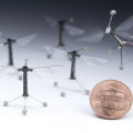 Schwarm der winzigen Roboterfliegen mit piezoelektrischem Antrieb