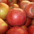 Äpfel enthalten ein komplexes Gemisch gesundheitsfördernder Wirkstoffe.