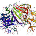 3D-Proteinstruktur