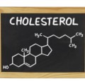 Ein Stoffwechselprodukt des Cholesterins regt Brustkrebszellen zum Wachstum an.