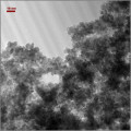 Nanopartikel aus Kobaltoxid unter dem Mikroskop (TEM). In dieser Form taugt Kobaltoxid als sehr effizienter Katalysator für die Spaltung von Wasser mit Sonnenlicht.