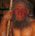 Rekonstruktion eines Neandertalers (Neanderthal Museum, Mettmann)