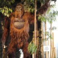 Gigantopithecus blacki, eine ausgestorbene Primatenart könnte nach Ansicht einiger Kryptozoologen als Yeti überlebt haben (Modell aus dem San Diego Museum of Man).