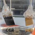 Wasserstoff aus Sonnenlicht: Links blubbert Sauerstoff, rechts Wasserstoff an den Katalysator-Elektroden hoch