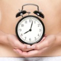 Auch die Aktivität von Darmbakterien folgt dem 24-Stunden-Rhythmus einer biologischen Uhr.