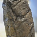 Unlesbar? - Verkohlte Papyrus-Rolle (Herc.Paris.4, etwa fünf Zentimeter hoch), die in einer Bibliothek im zerstörten Herculaneum gefunden und nun teilweise entziffert wurde.