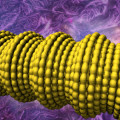 Leitfähige Faser aus Gummi und einer Schicht aus Kohlenstoffnanoröhrchen, die sich zu zahlreichen Wölbungen aufwirft. (Computergrafik)