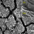Mikroskopaufnahme der nanoskaligen Wolframoxid-Inseln auf einer Stahloberfläche. 